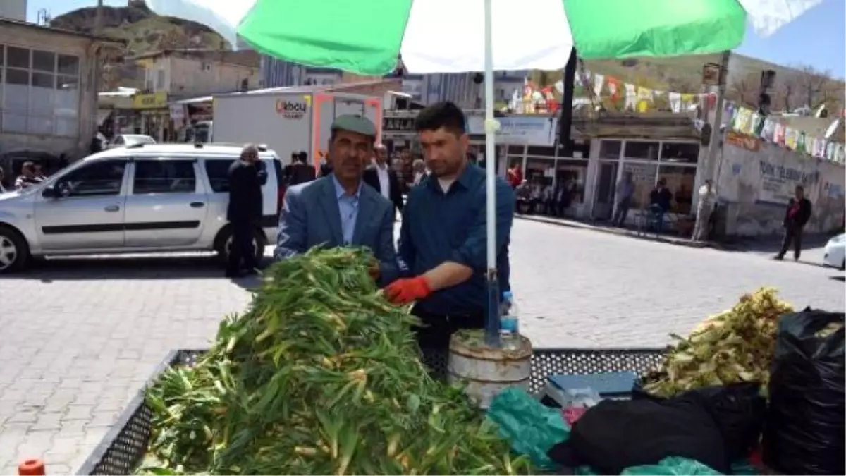 Dağda Yetişen Otlar Baharda Ekmek Kapısı Oldu