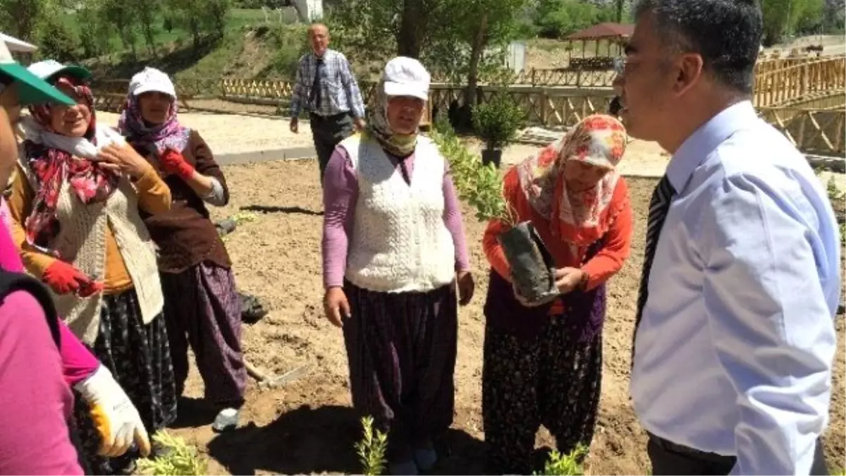 Harmankaya Kanyonu Tabiat Parkı\'nda Fidan Dikimi Yapıldı