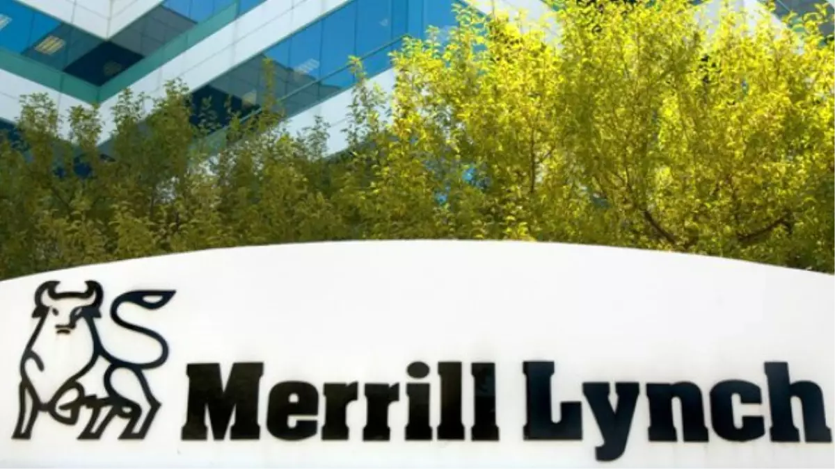 Dünyaca Ünlü Banka Merrill Lynch: Dolar 3 TL Seviyesine Çıkabilir