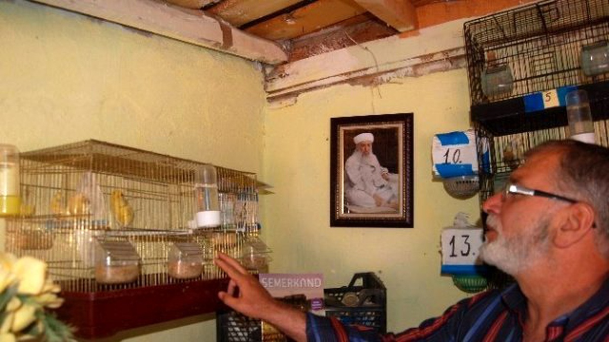 Kanarya Sesi ile Hayata Tutundu