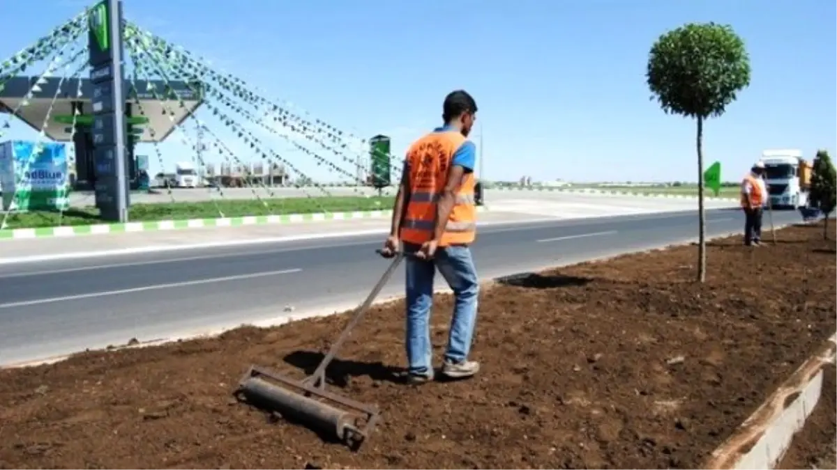 Şanlıurfa Büyükşehir ile Rengarek Oluyor