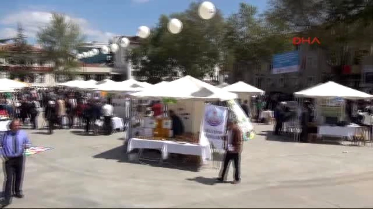 Tokat Meşe Ağacından Yaptıkları Araçla Trafik Levhalarını Öğreniyorlar