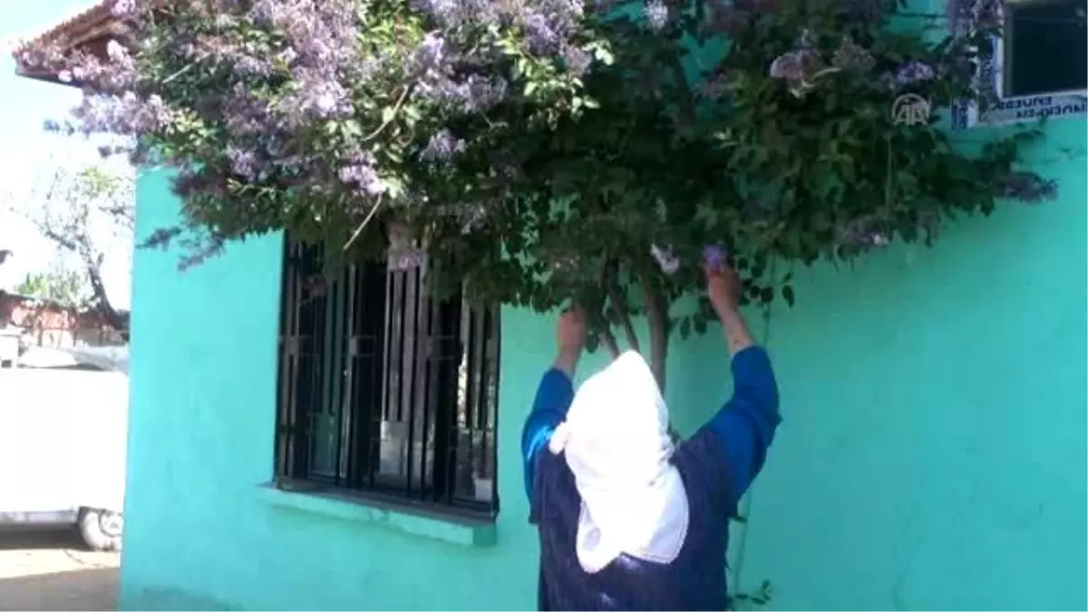 Anneler Günü"Nde Şehit Oğluna Koştu