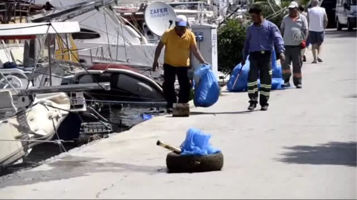 Deniz Dibi Temizliği Yapıldı