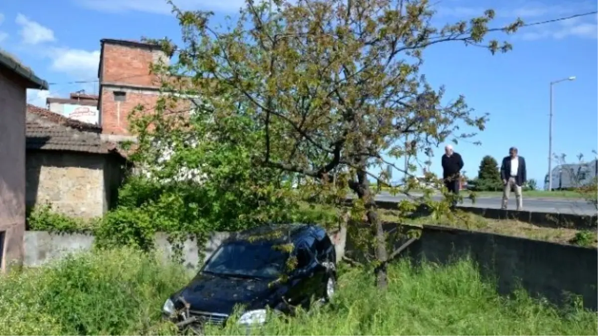 Ordu\'da Trafik Kazası: 1 Yaralı