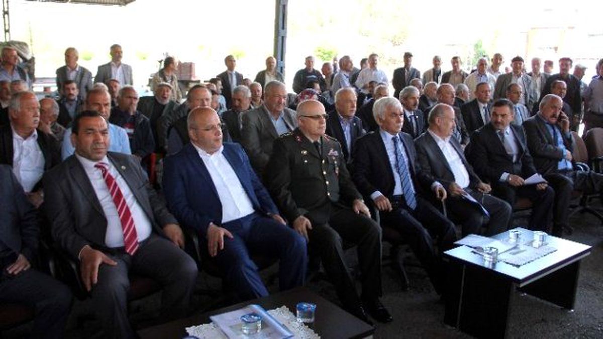 Çam Balı Üretiminde Dünya Birincisiyiz"