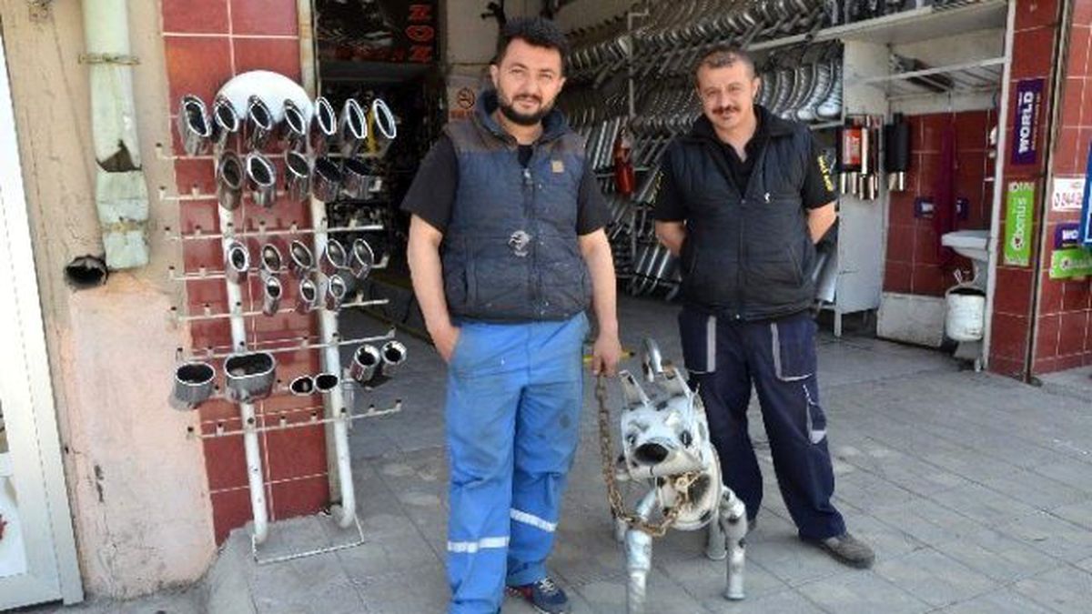 Egzozcunun Meslek Aşkı