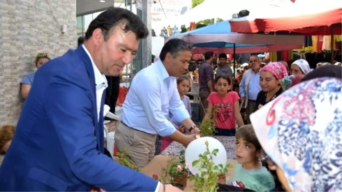 Germencik\'te Çiçek Dağıtımı Dünyanın En Özel Çiçeklerine Yapıldı