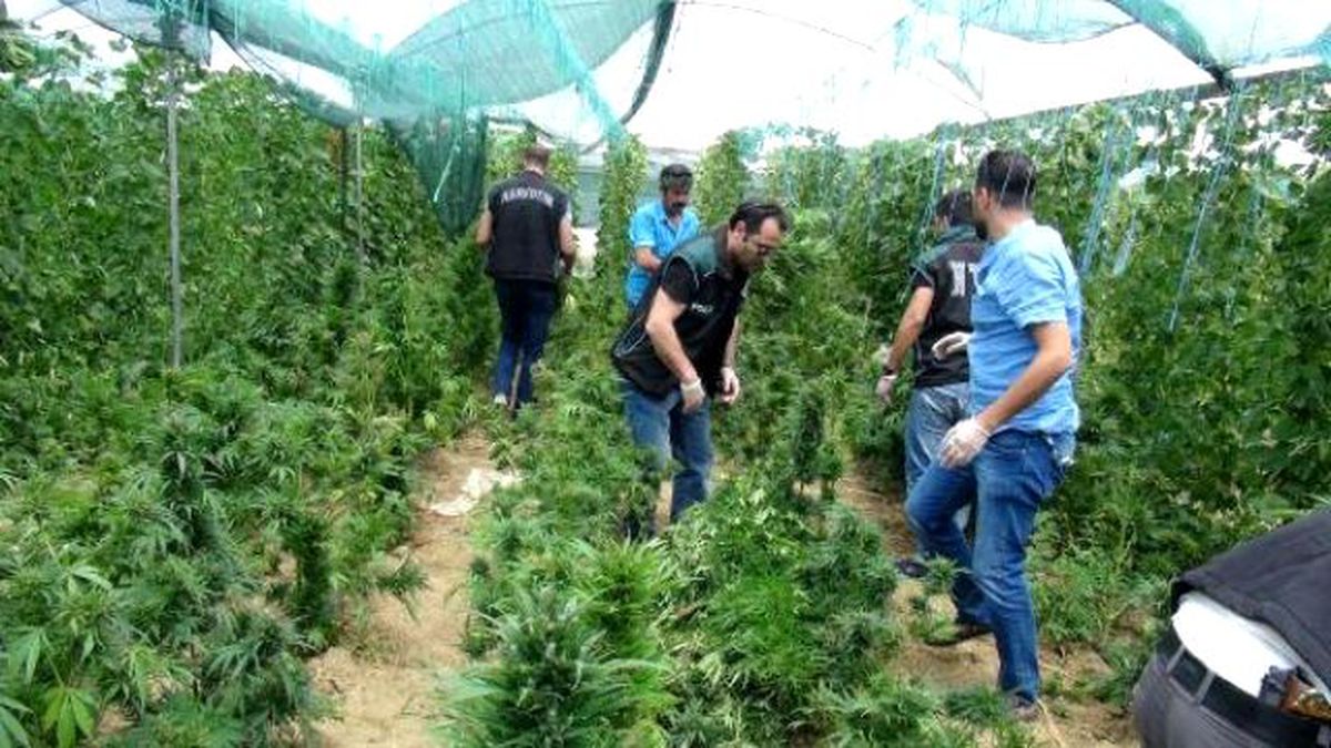 Seraya Uyuşturucu Baskını: 4 Suriyeli Gözaltında