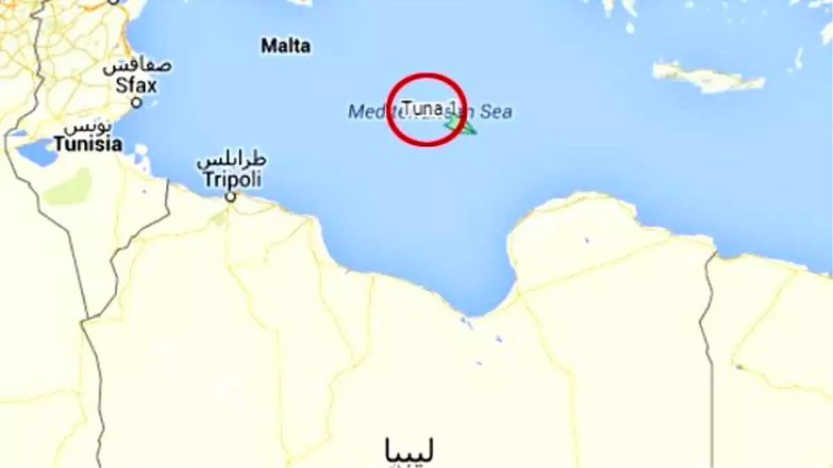 Tobruk Hükümeti nedir ? Hangi ülkenin hükümetidir ?