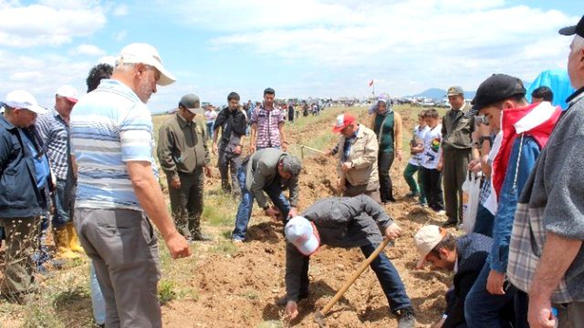 Beyşehir\'de Fidan Dikme Etkinliği