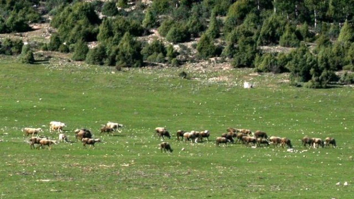 Büyükorhan\'da Projeler Tamam, Sıra Uygulamada
