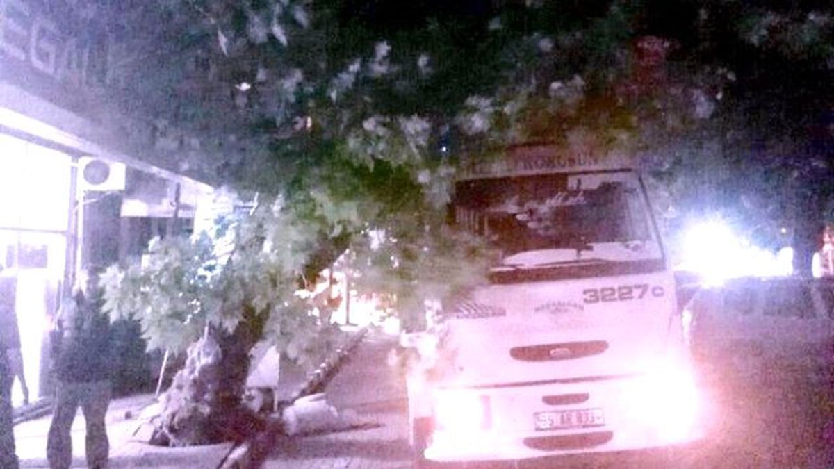 Balıkesir\'de Dikkatsiz Sürücü, Çınar Ağacına Çarptı