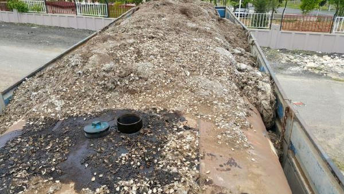 Pamuk Yüklü Kamyonda 25 Ton Ham Petrol Ele Geçirildi