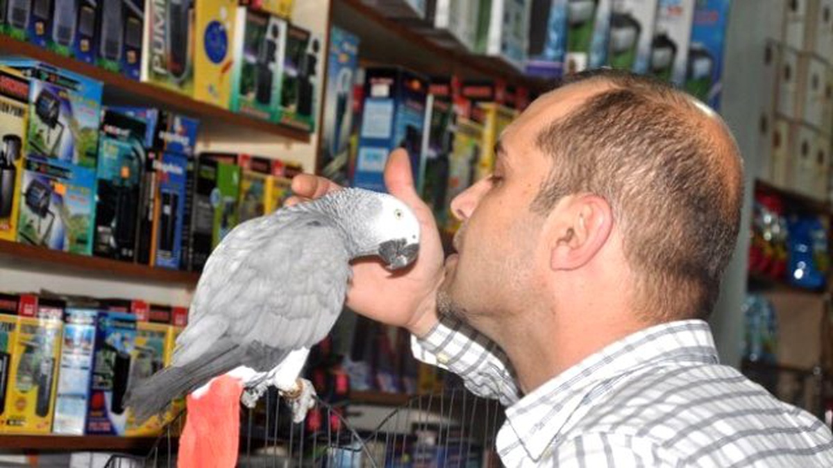 Fanatik Fenerbahçeli "Papağan Şakir" Görenleri Şaşırtıyor