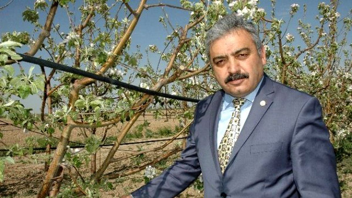 Karaman\'da Don Zararı 336 Milyon Lira