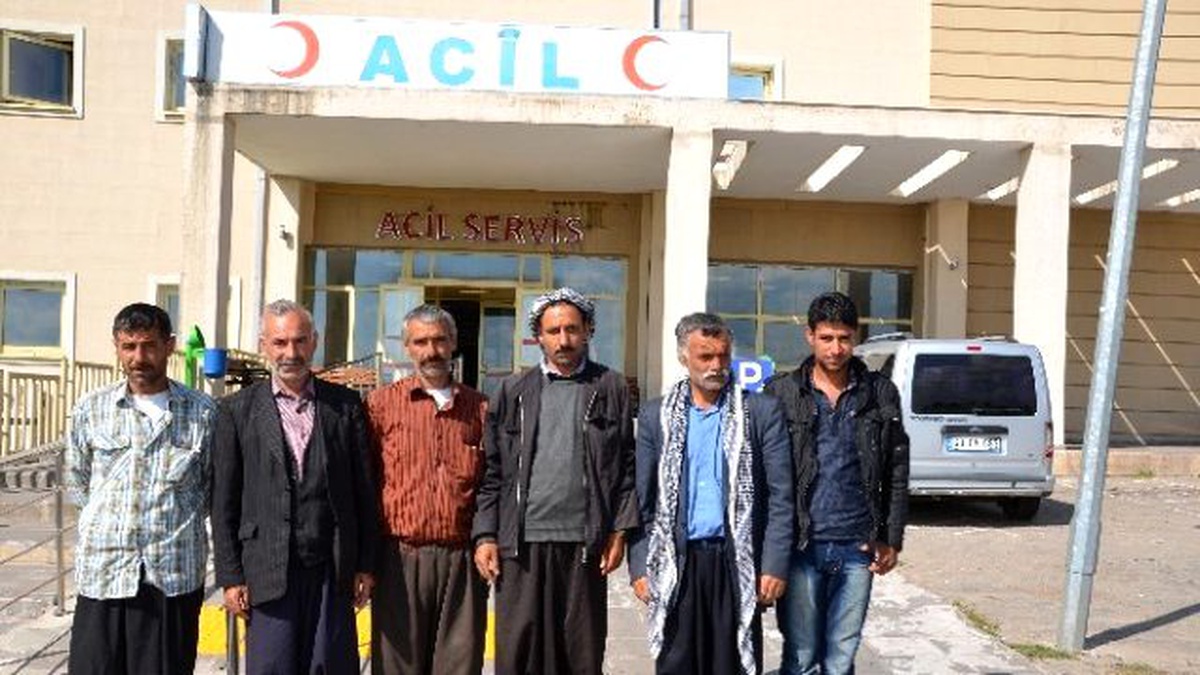 Şanlıurfa\'da Arıların Saldırdığı 3 Çocuk Yaralandı