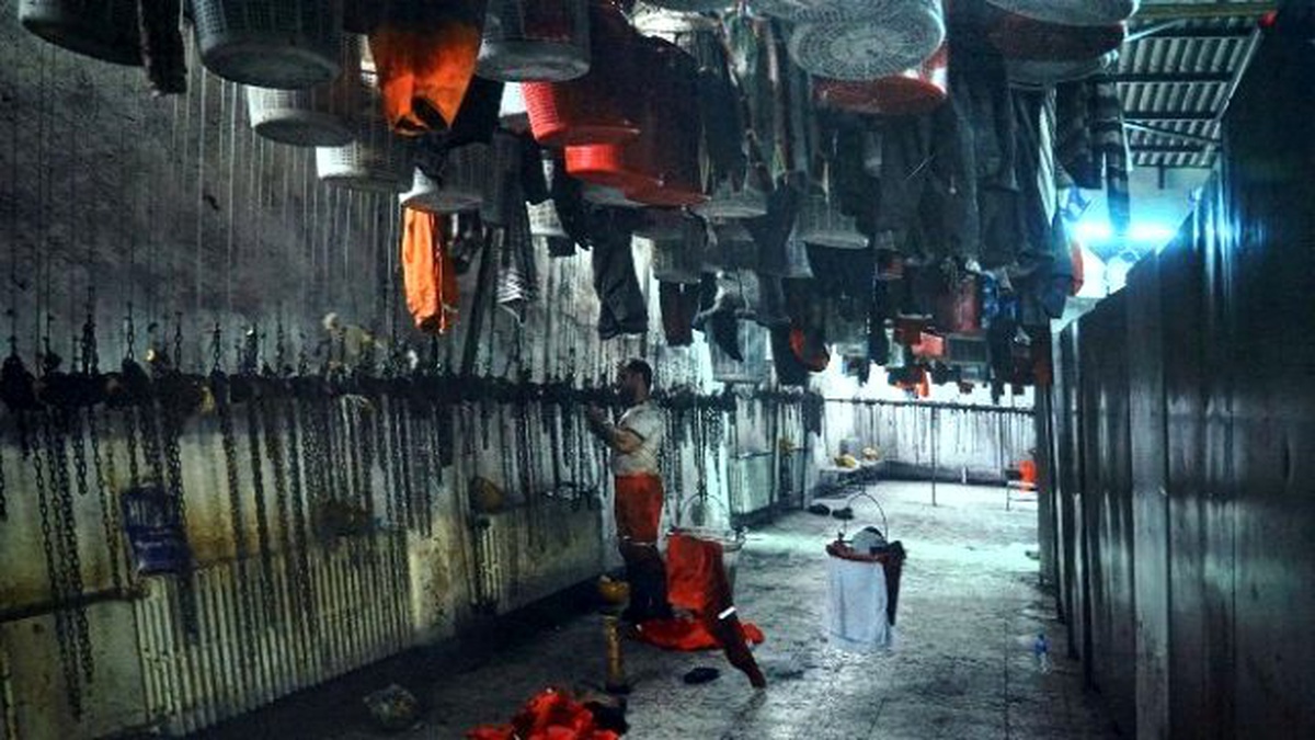 Soma Fciasının 1. Yılına Özel Sergi