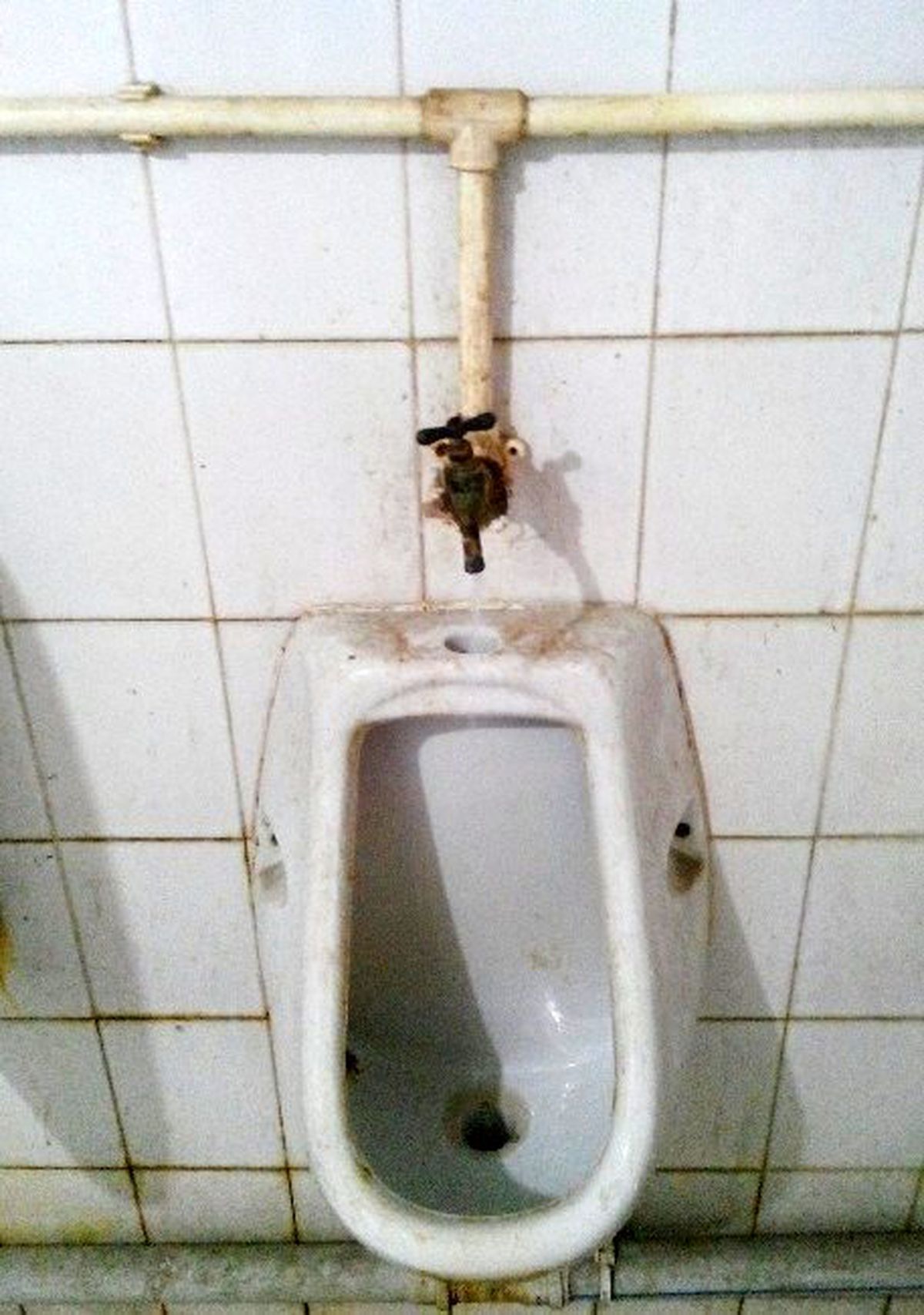 Türk İşi Pisuvar