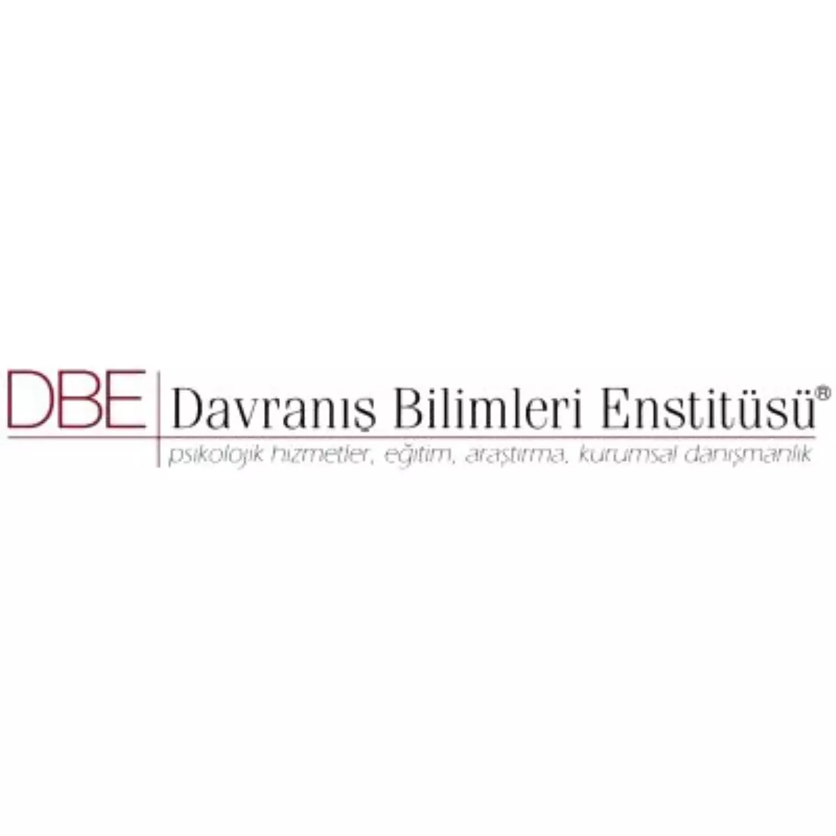 Dbe Davranış Bilimleri Enstitüsü Eğitimciler Zirvesi\'ne Katılıyor