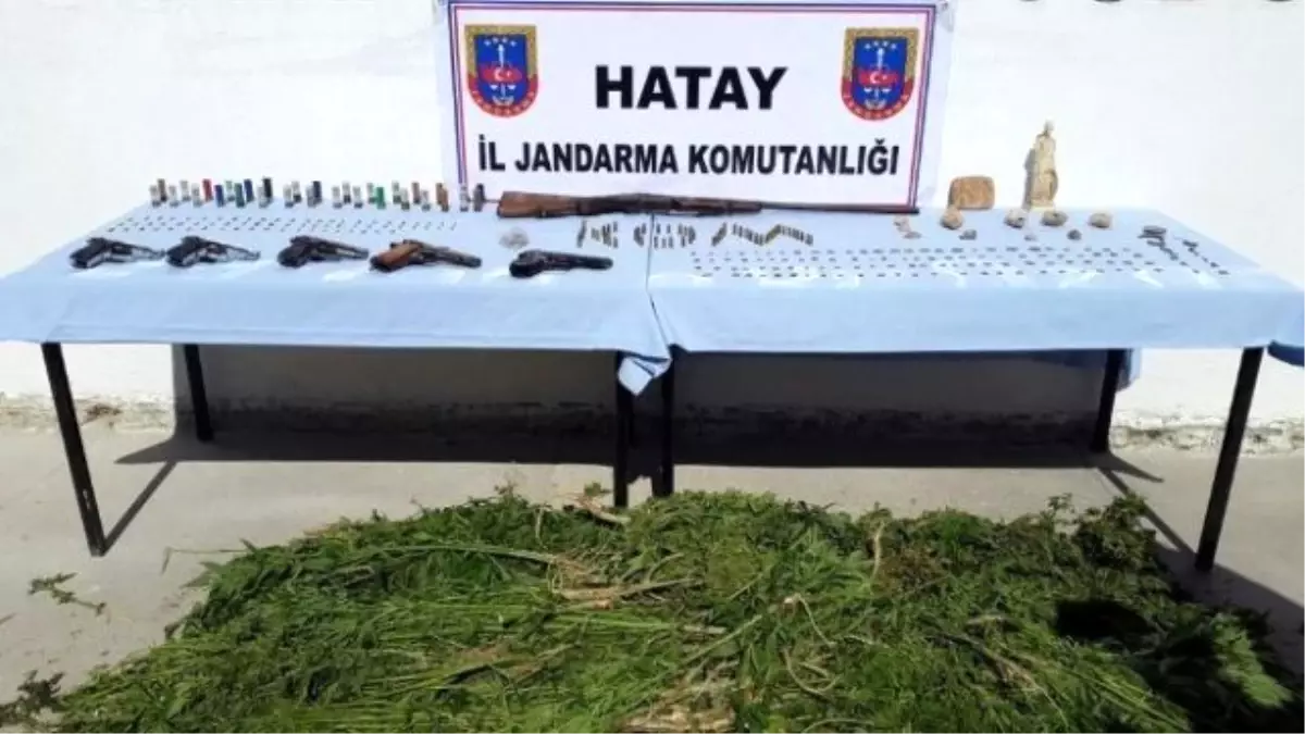 Hatay\'da Bin 412 Kök Hint Keneviri Ele Geçirildi