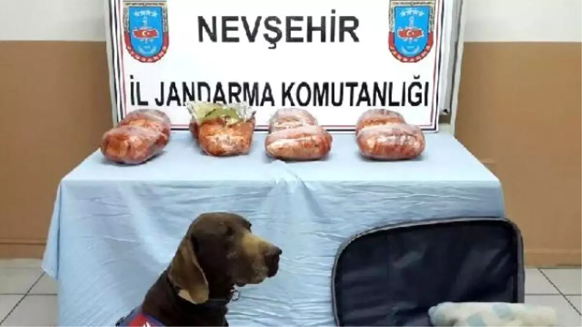 Nevşehir\'de Otobüs Yolcusunun Valizinde 15 Kilo Esrar