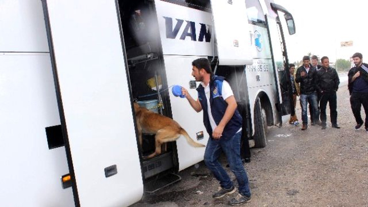 Narkotik Polis Köpeği Chaira Uyuşturucu Tacirlerinin Korkulu Rüyası Oldu