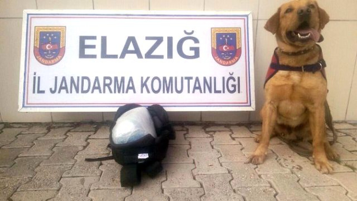 Sırt Çantasında Toz Esrar Ele Geçirildi