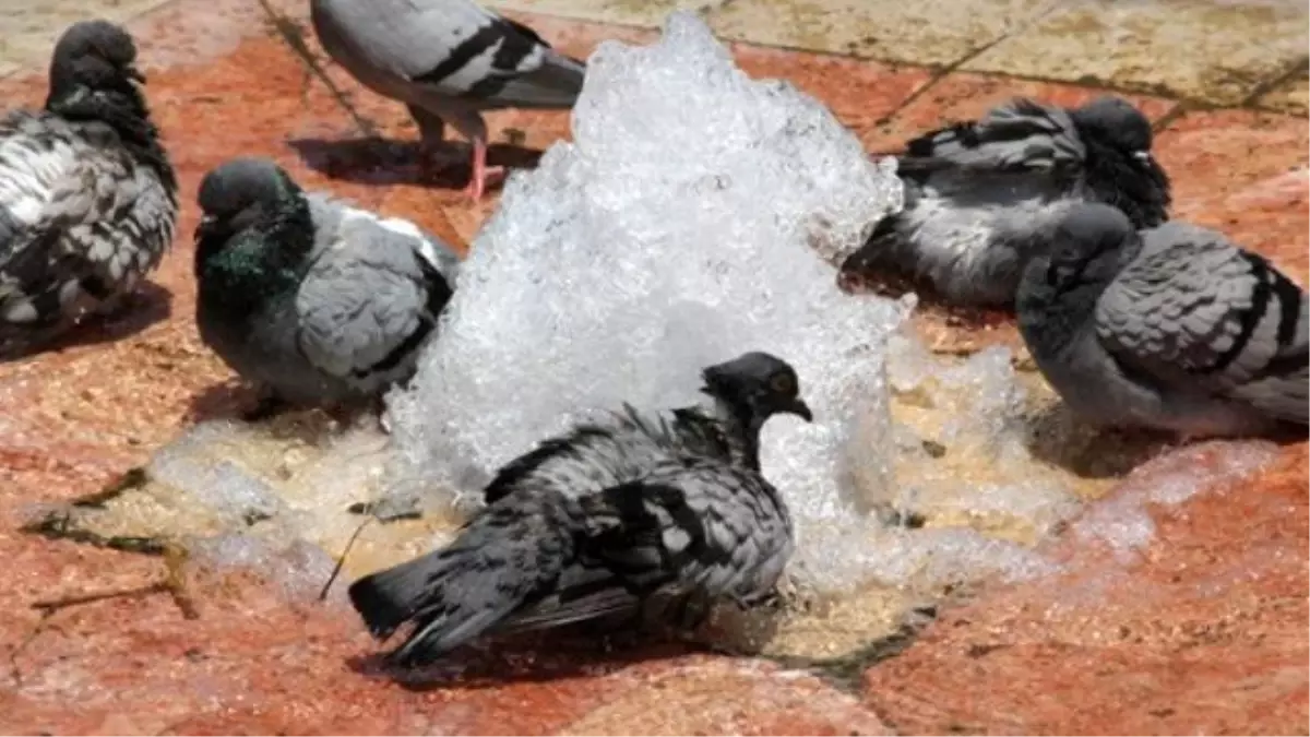 Meteoroloji Uyardı! Kavurucu Sıcaklara Dikkat