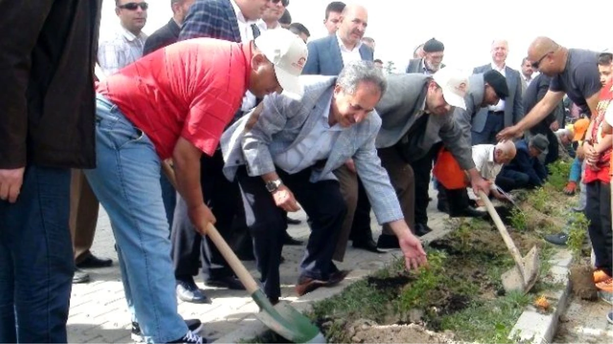 Akşehr Belediyesi\'nden Ağaç Dikme Etkinilği