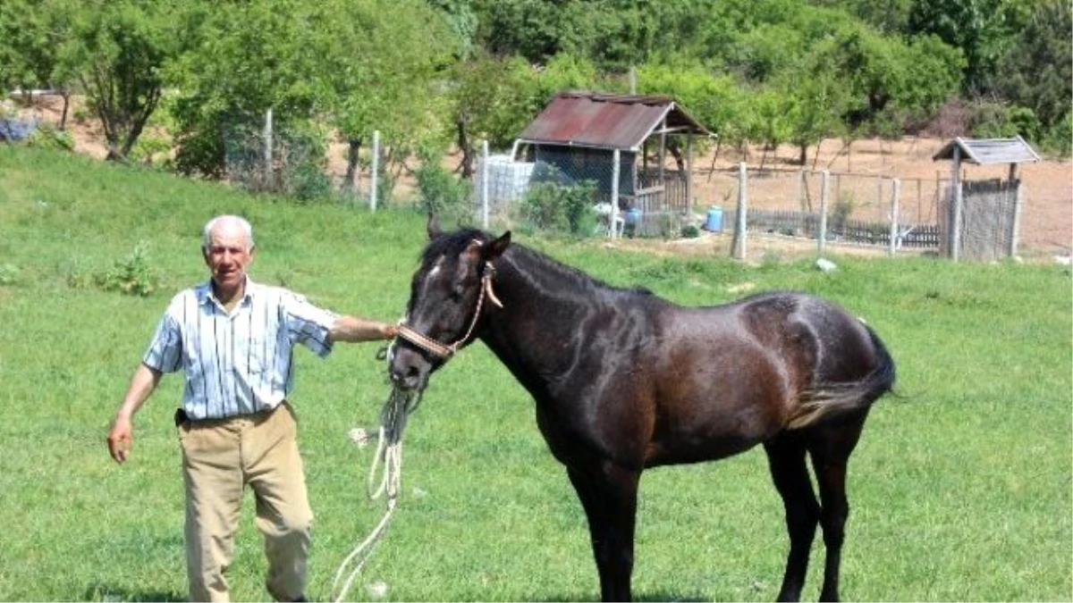 5 Bin TL Maaşlı Çoban İşi Bıraktı