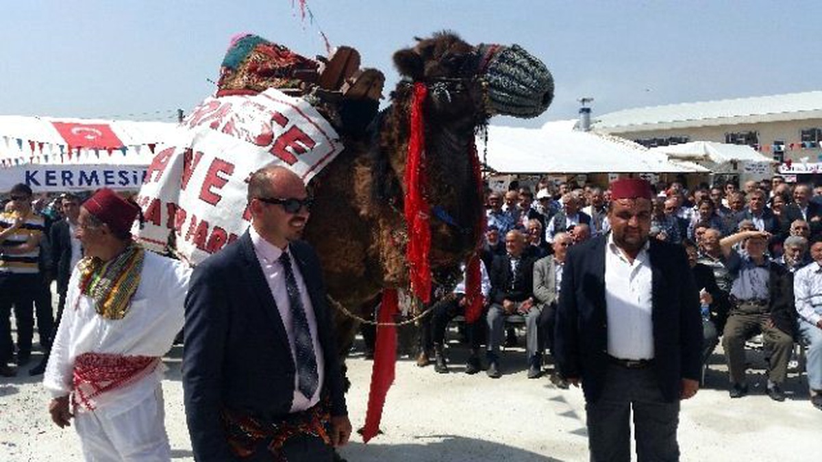 Açık Artırmaya Çıkarılan Deve 57 Bin Liraya Satıldı