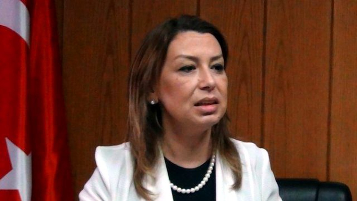 Çalık: "Türkiye\'de Karanlık Güçler Maalesef Her Zaman Devrede Olmuştur"