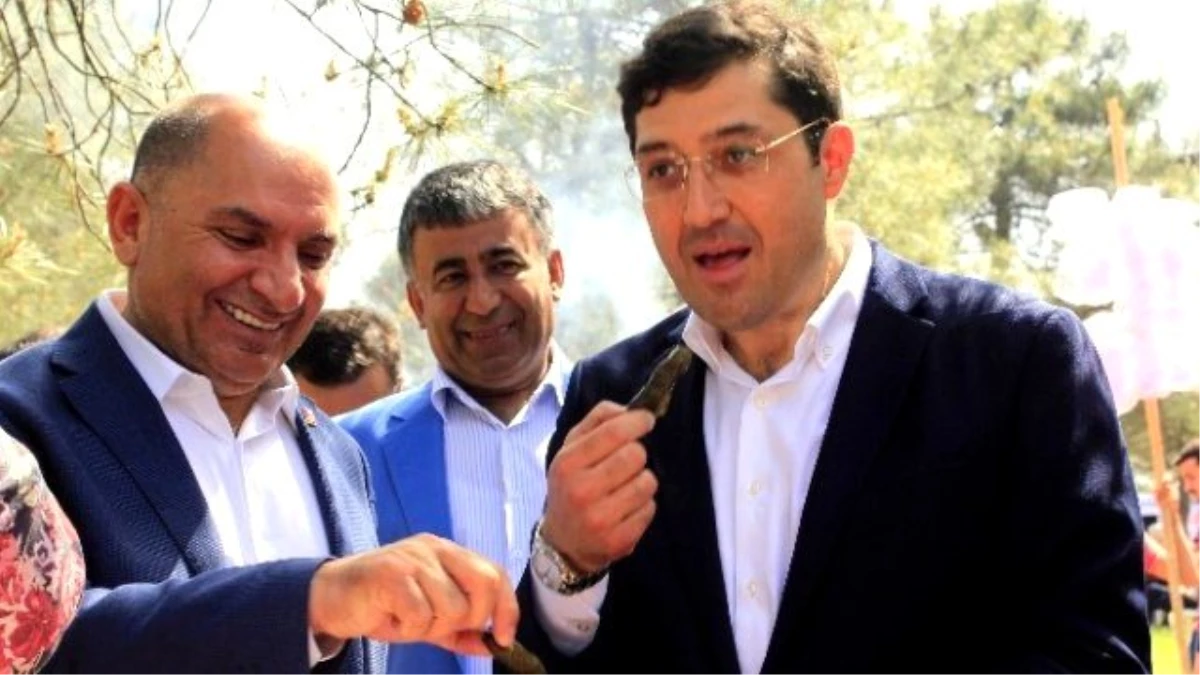 CHP Kocaeli Milletvekili Adayı Tarhan, Orduluların Pikniğine Katıldı