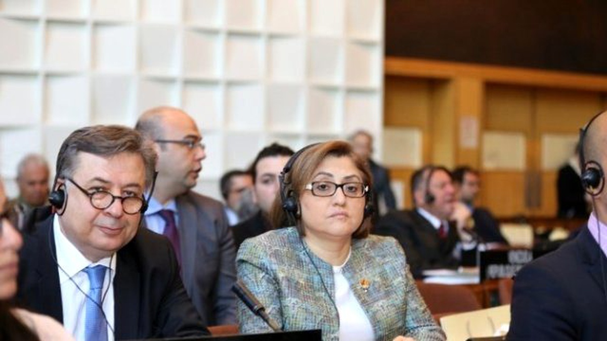 Fatma Şahin, Unesco\'da Gaziantep\'in Kaçırılan Tarihi Eserlerini Anlattı