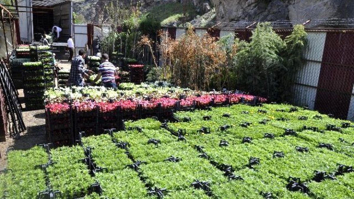 Gümüşhane Belediyesi Çiçek Dikim Çalışmalarına Başladı
