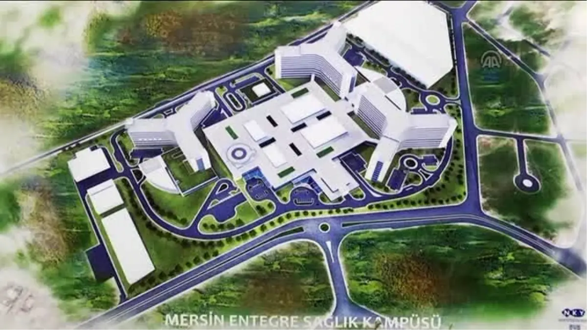 Müezzinoğlu - Kuş Gribi ve Aile Hekimlerinin Grev Kararı