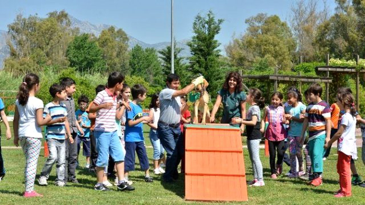 Öğrenciler, Sokak Hayvanları Bakımevini Gezdi