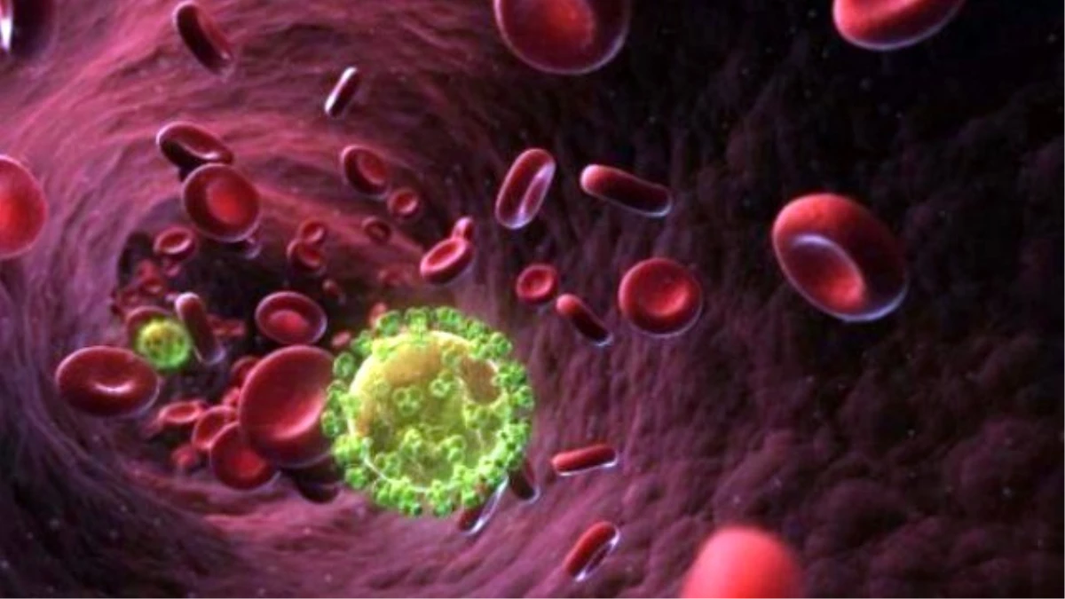 ABD\'li Profesör HIV ve AIDS Virüsüne Çare Buldu