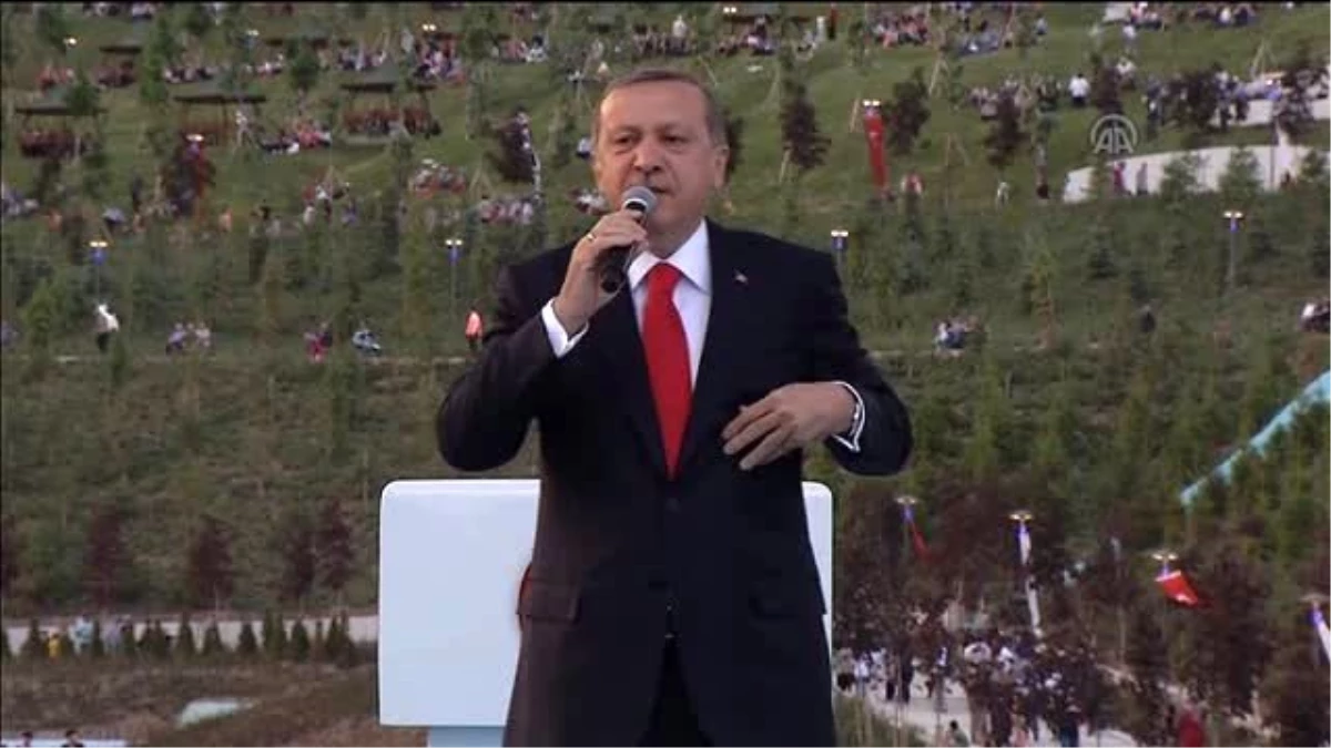 Erdoğan: "Ey Doğan, Niye Rahatsız Oldun?"