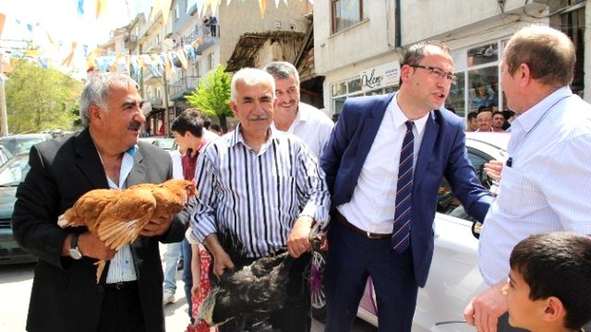Gelin Arabasının Şoförü, Damattan Tavuk ve Horoz İstedi