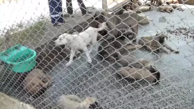 Haytap Yoneticileri Incelemelerde Bulundu Son Dakika