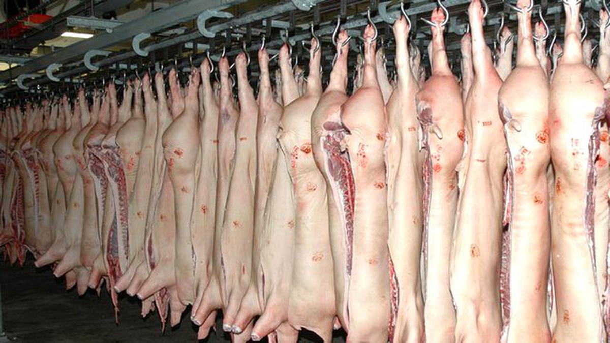 İngiltere\'de Süpermarket "Helal" Damgalı Domuz Ürünü Sattı