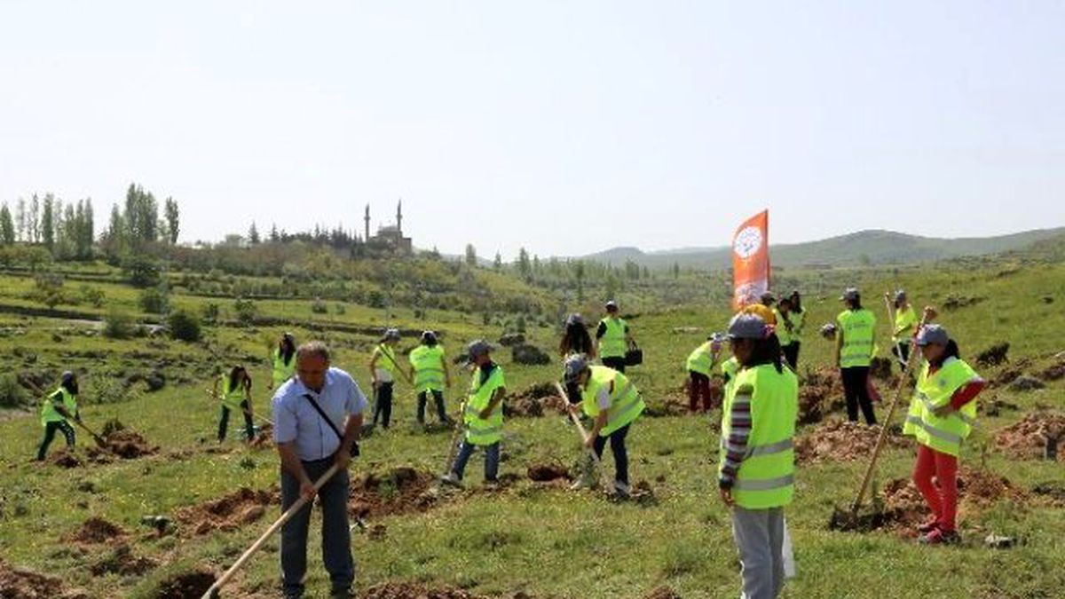 Talas'ta Bir Cana 10 Fidan Projesi