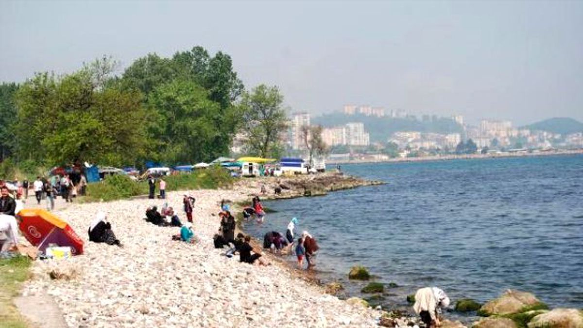 7 Dalgadan Atlayıp, Dilek Tuttular