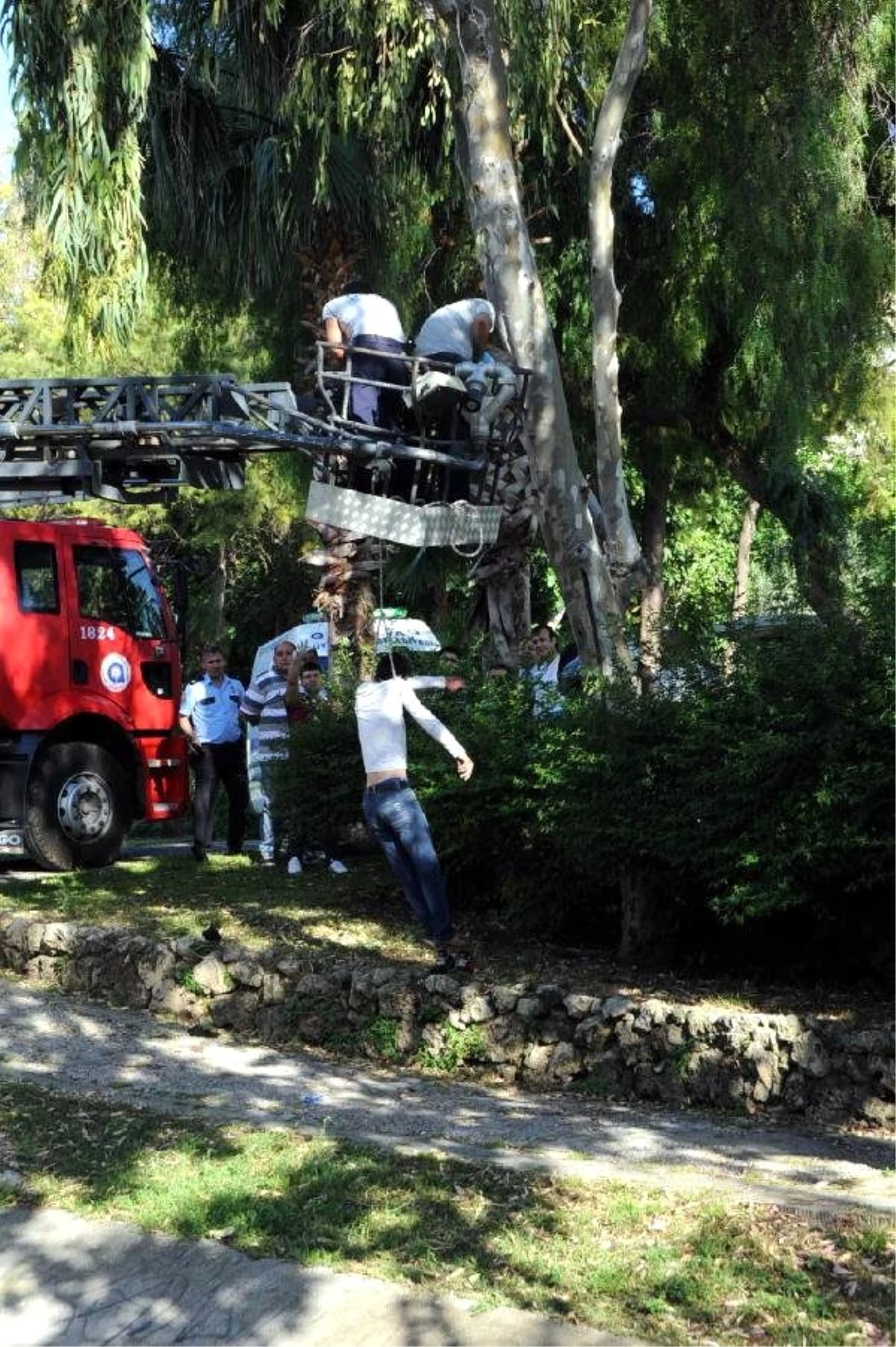 Ağaçtaki Cesedi Düşüren İtfaiyecilere Savcıdan Fırça