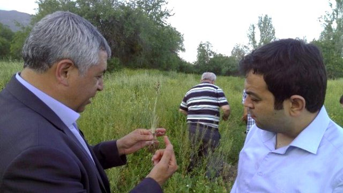 Bucak\'ta Kültür Salebi Yetiştiriciliği Hayata Geçiyor