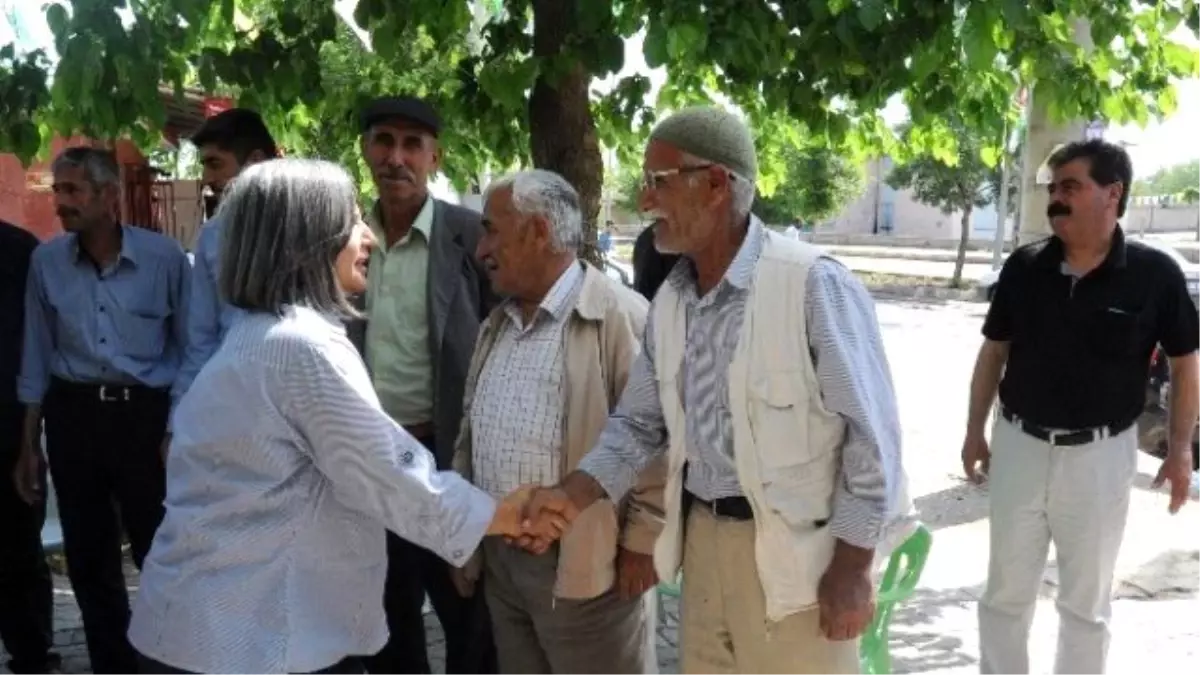 Diyarbakır Büyükşehir Belediyesi Yoksullar İçin Sebze Fideleri Ekti