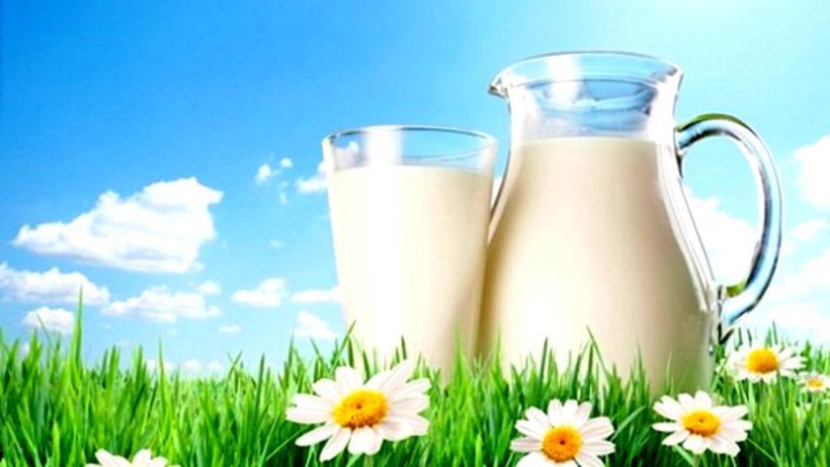 İnek Sütüne Alerjisi Olanlara Alternatif Süt Önerileri