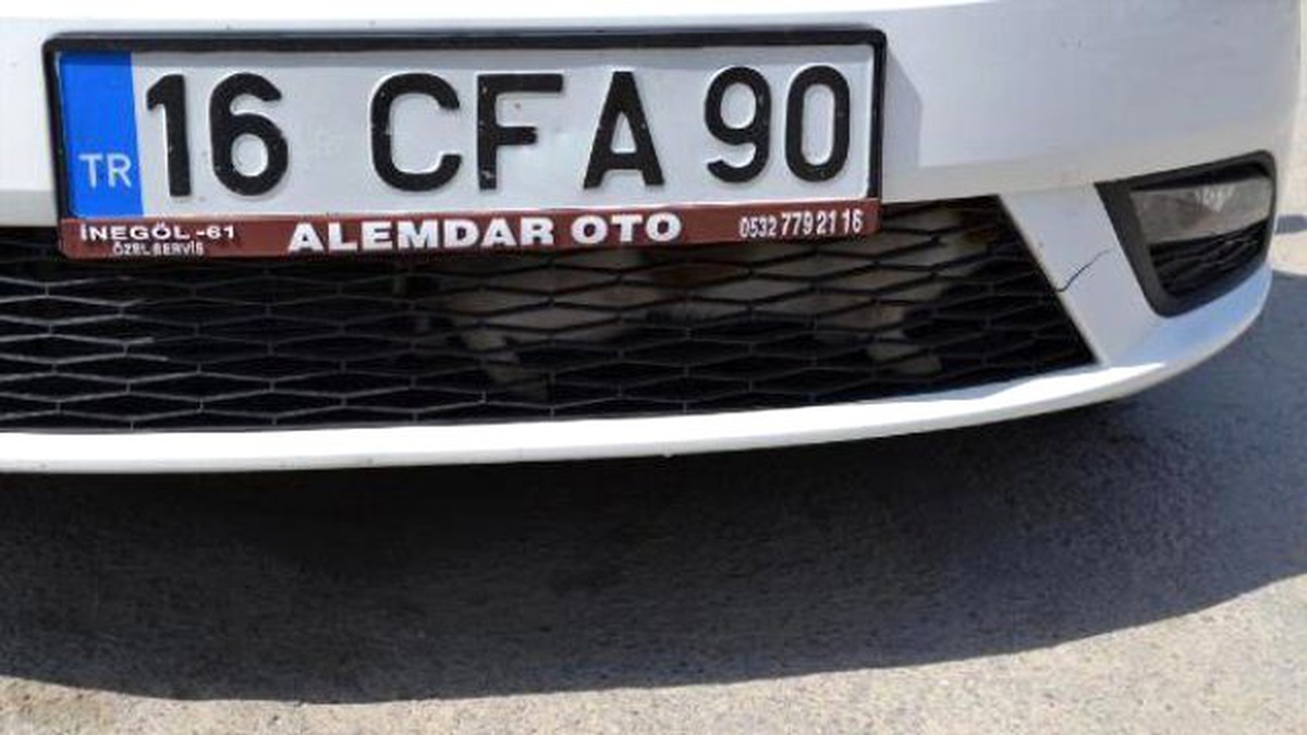 Motora Sıkışan Kedi Yavrusunu Kurtarma Operasyonu